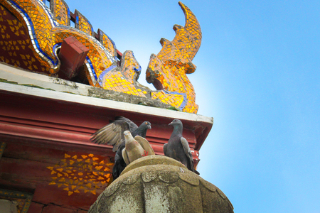 Three Dove. Standing on the roof of the temple. Wat Suthat. The daytime. in bangkok .Thailandの写真素材