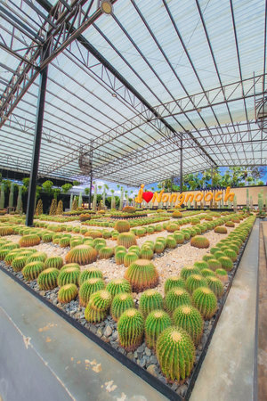 Pattaya, Thailand - 17 October 2025 : Beautiful view of the Nong Nooch Tropical Botanical Garden. Pattaya, Kingdom of Thailand.の写真素材