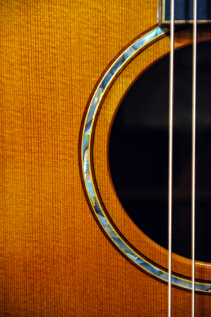 Components of the acoustic guitar.