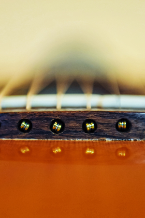 Components of the acoustic guitar.の写真素材