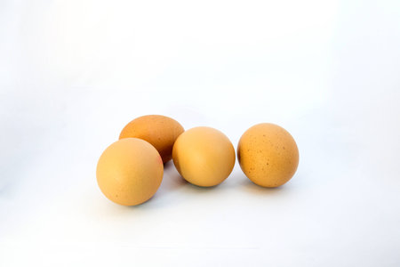 egg on white backgroundの写真素材