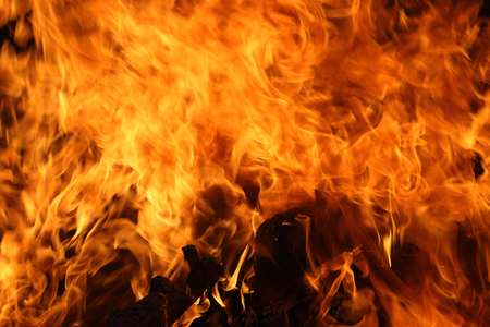 Lame texture as background. Stormy burning firewood in the dark.