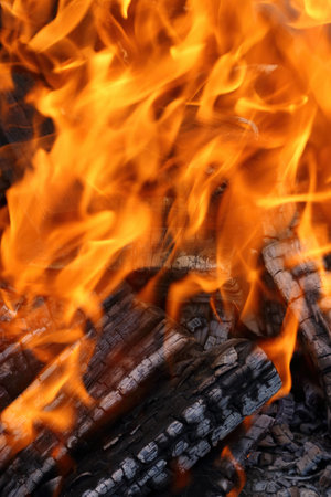Bonfire flame, burning firewood as a background.