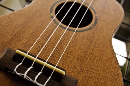 Ukulele is wide recognized as the cute sound musical instrument of the world.