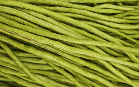 Yard Long bean is the important ingredient of Som-tam (Thai