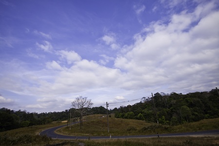 The country road in the landscape of fresh blue sky.の写真素材