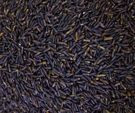 The red rice grain as the background for design and artwork.の写真素材