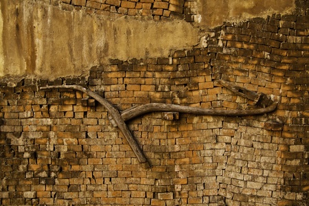 The antique decoration at the farmland wall background texture.の写真素材