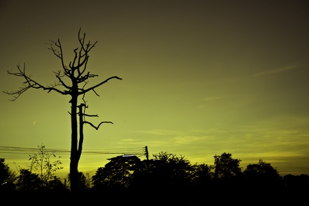 The exotic view of the natural landscape at the magic hours evening of the beautiful day.の写真素材