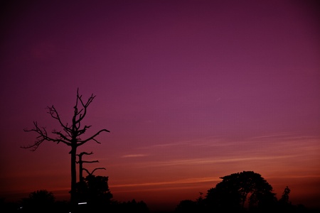 The exotic view of the natural landscape at the magic hours evening of the beautiful day.の写真素材