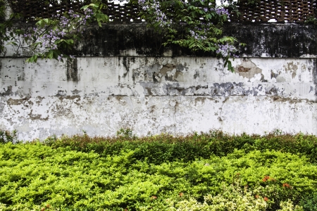 The old fortress at the wall of the ancient prison shows the security system of old time の写真素材