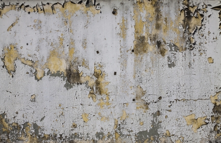 The aged grungy cement wall texture as the design artwork background の写真素材