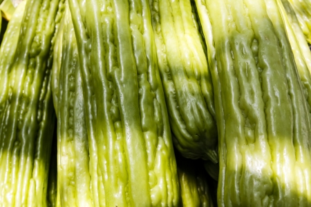 Thai vegetable - The balsam appleの写真素材
