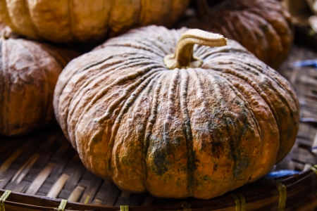 The fresh pumpkin at the market shelf of groceries  shopping.