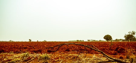 The rural landscape of red soil on the wide view の写真素材