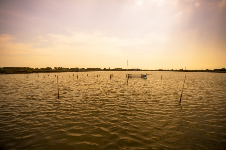 The beautiful landscape of the golden seashore.の写真素材