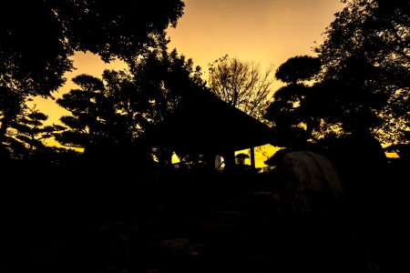 HONG KONG - JANUARY 5 : Chi Lin Nunnery & Nan Lian Garden on January 5, 2013 in Hong kong. The Chi Lin Nunnery is a large temple complex of elegant wooden architecture, treasured Buddhist relics and lotus ponds.  At the same place the Nan Lian Garden exhiのeditorial素材