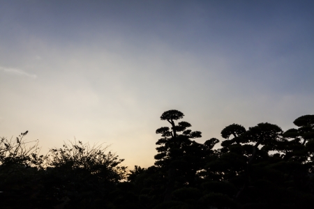 HONG KONG - JANUARY 5 : Chi Lin Nunnery & Nan Lian Garden on January 5, 2013 in Hong kong. The Chi Lin Nunnery is a large temple complex of elegant wooden architecture, treasured Buddhist relics and lotus ponds.  At the same place the Nan Lian Garden exhiのeditorial素材