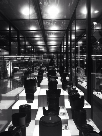 the lens kingdomの素材