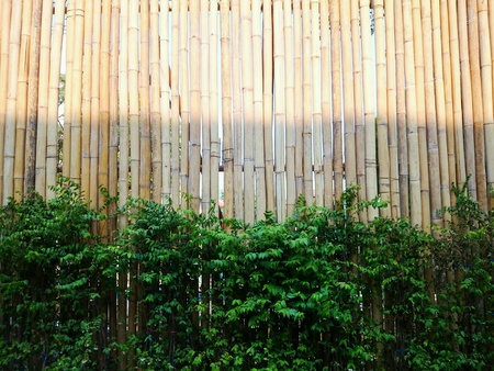 The Bamboo wallの素材