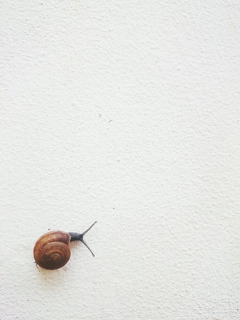 Snailの素材