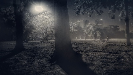 Night at a park.の素材