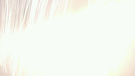 The light backgroundの素材