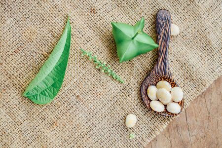 sacha peanut concept, Inca nut  fresh and green with wooden spoon on brown linenの写真素材