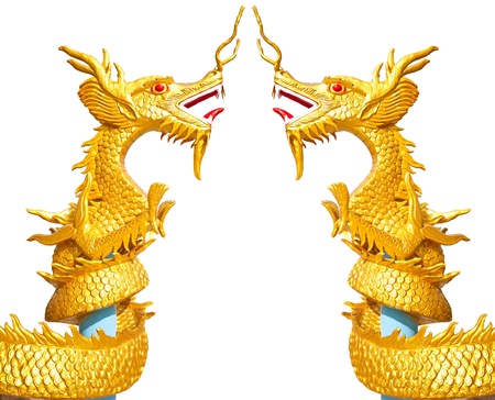 Two golden dragon on white backgroundの写真素材