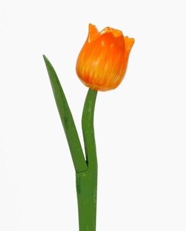 orange plastic tulip flowers isolated white backgroundの写真素材