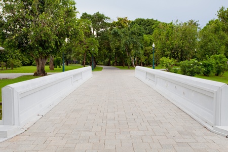bridge in parkの写真素材