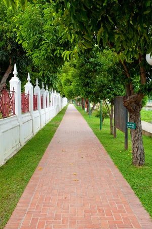 walkway in gardenの写真素材
