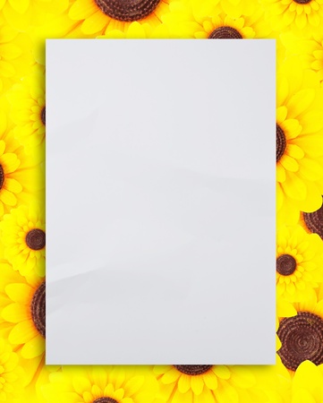 paper on the sunflower backgroundの写真素材