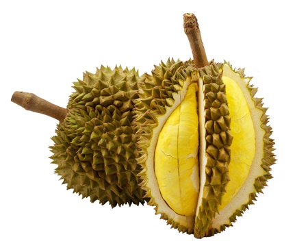 Durian isolated on white backgroundの写真素材