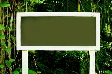 A blank wooden for your textの写真素材