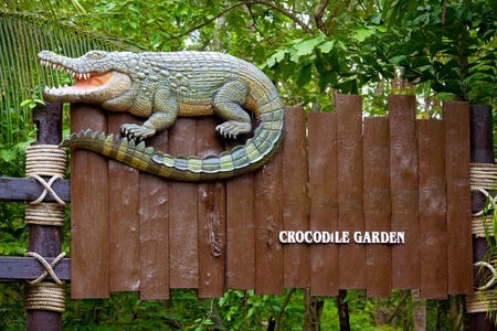 crocodile sign in the forestの写真素材