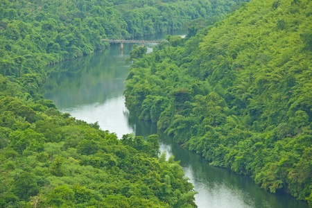Bridge to the jungle mountain and river in Thailandの写真素材