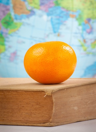 Orange on old book on globe backgroundの写真素材