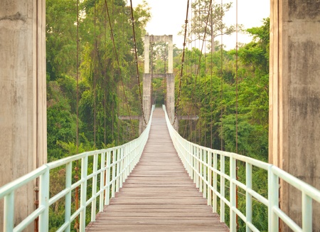 Rope walkway through the treetops in a rain forest