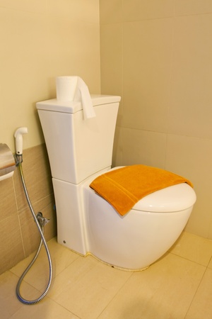 Modern home flush toilet in Bathroomの写真素材