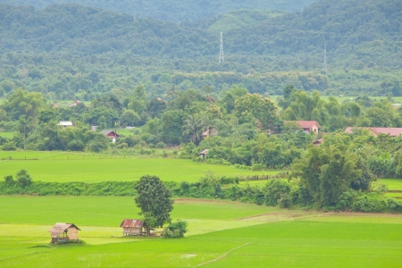 old house with green grass in the mountainの写真素材