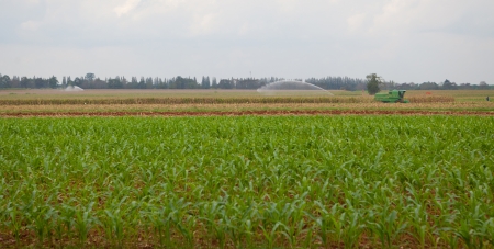 Tractor spraying a green field on farmの写真素材