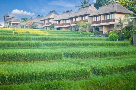Rice terrace and village in Cordillera mountains in Bali Indonesiaのeditorial素材