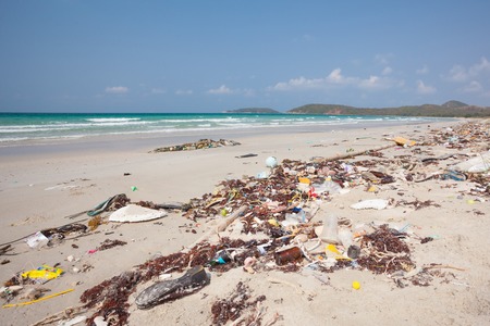 Lot of rubbish washed up on the shore on the beachの写真素材