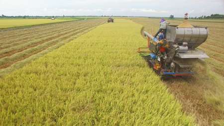 Aerial view of combine on harvest field in Ayutthaya, Thailandの写真素材