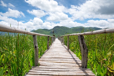 Wooden path with mountain and blue sky