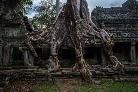 ancient of Prasat Preah Khan temple, in Siem reap, Cambodia