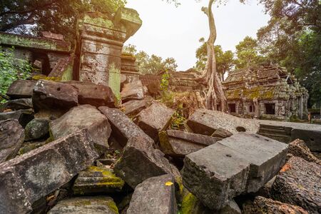 ancient of Prasat Ta prohm temple, in Siem reap, Cambodia