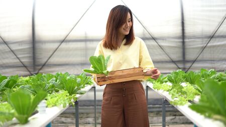 Portrait of asian woman harvesting fresh vegetables in hydro farm