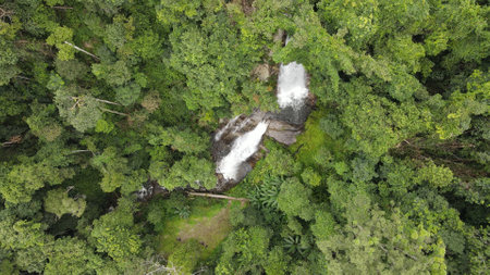 Tropical Rainforest Landscape in Thailandの写真素材